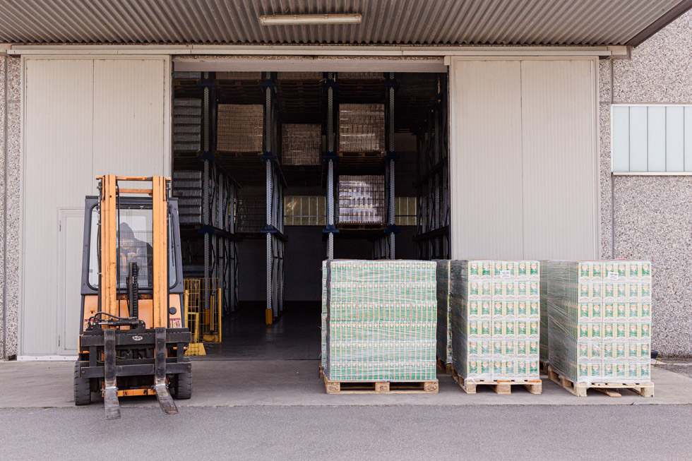 logistica